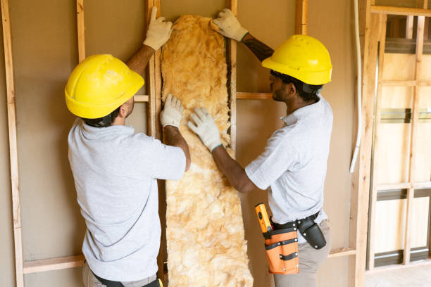 Best Radiant Barrier Insulation  in Kurtistown, HI